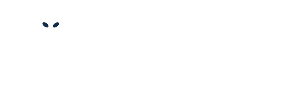 WIPLAY Logo